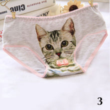 Load image into Gallery viewer, Cotton Women Plus Size Underwear Briefs Cat 3D Printing Panty